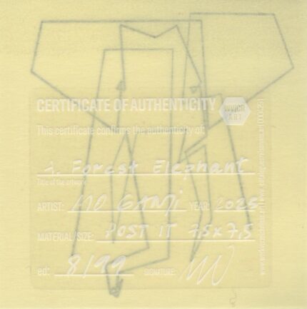 Mo Ganji - 001-Elephant-Back