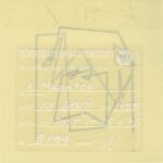 Mo Ganji - 007-Manatee-Back