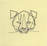 Mo Ganji - 009-Andean Cat-Front