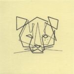 Mo Ganji - 009-Andean Cat-Front