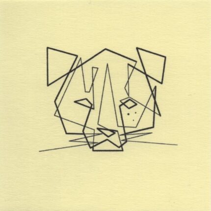 Mo Ganji - 009-Andean Cat-Front