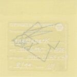 Mo Ganji - 010-Angelshark-Back
