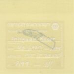 Mo Ganji - 012-Racer-Back