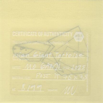 Mo Ganji - 017-Tortoise-Back