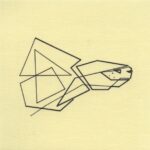 Mo Ganji - 017-Tortoise-Front