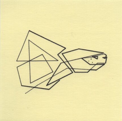 Mo Ganji - 017-Tortoise-Front