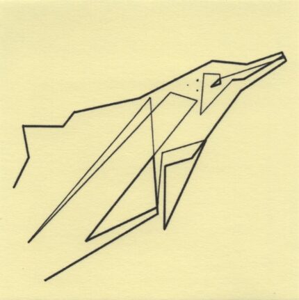 Mo Ganji - 020-Dolphin-Front