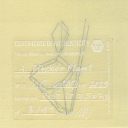 Mo Ganji - 021-Pitcher Plant-Back