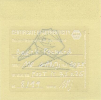 Mo Ganji - 024-Pochard-Back