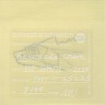 Mo Ganji - 029-Chameleon-Back