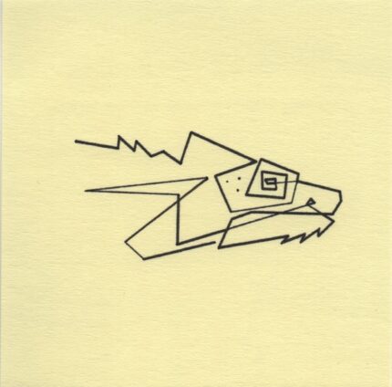 Mo Ganji - 029-Chameleon-Front