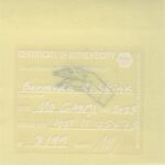 Mo Ganji - 033-Skink-Back