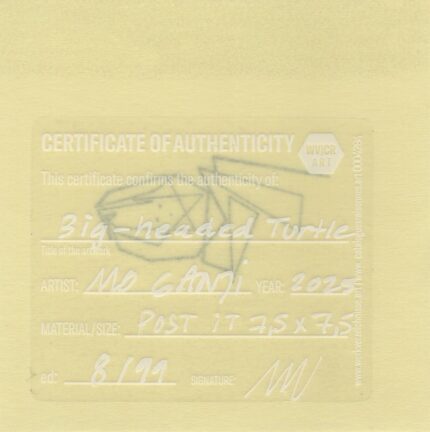 Mo Ganji - 034-Turtle-Back