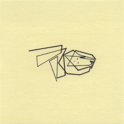 Mo Ganji - 034-Turtle-Front