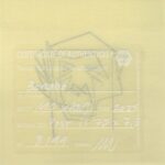 Mo Ganji - 041-Bonobo-Back