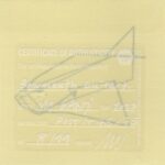 Mo Ganji - 046-Guitarfish-Back