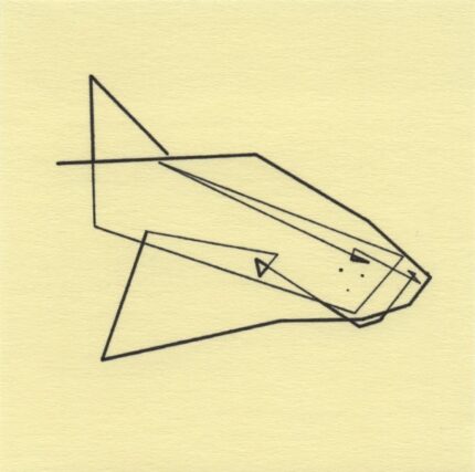 Mo Ganji - 046-Guitarfish-Front