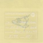 Mo Ganji - 054-Chameleon-Front
