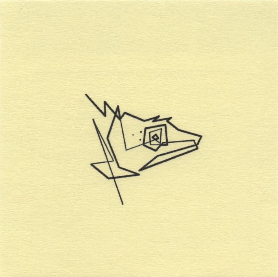Mo Ganji - 054-Chameleon-Front Mo Ganji - 054-Chameleon-Front