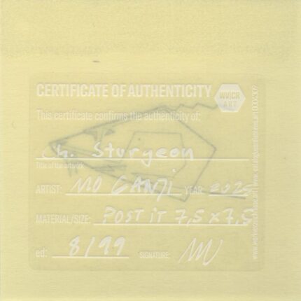 Mo Ganji - 059-Sturgeon-Back