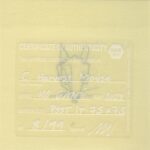 Mo Ganji - 063-Mouse-Back