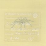 Mo Ganji - 070-Spider-Back