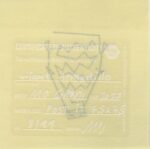 Mo Ganji - 084-Armadillo-Back