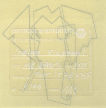 Mo Ganji - 101-Elephant-Back