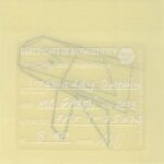 Mo Ganji - 105-Dolphin-Back