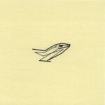Mo Ganji - 124-Skink-Front
