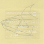 Mo Ganji - 130-Catfish-Back