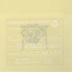 Mo Ganji - 137-Squirrel-Back