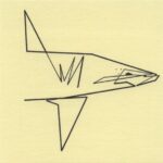 Mo Ganji - 148-Shark-Front