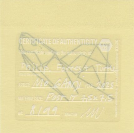 Mo Ganji - 158-Turtle-Back