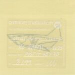 Mo Ganji - 162-Shark-Back