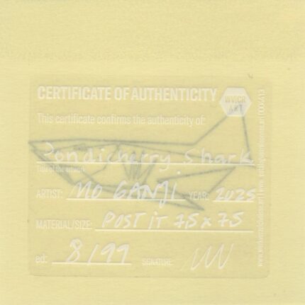 Mo Ganji - 162-Shark-Back