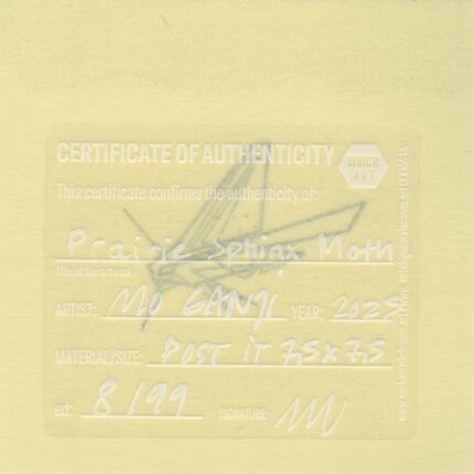 Mo Ganji - 163-Moth-Back