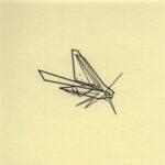 Mo Ganji - 163-Moth-Front