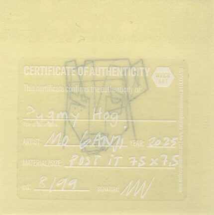 Mo Ganji - 167-Hog-Back