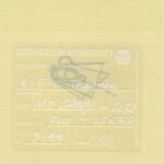 Mo Ganji - 172-Frog-Back