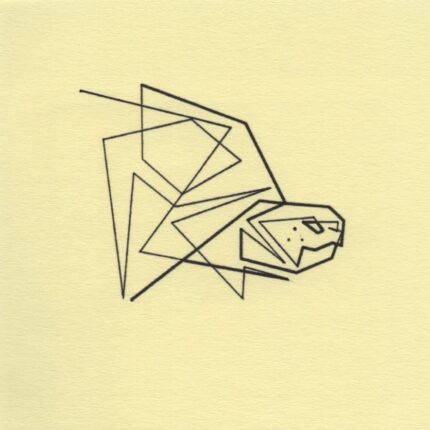 Mo Ganji - 173-Tortoise-Front