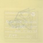 Mo Ganji - 173-Tortoise-back