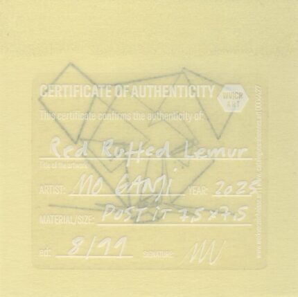 Mo Ganji - 177-Lemur-Back