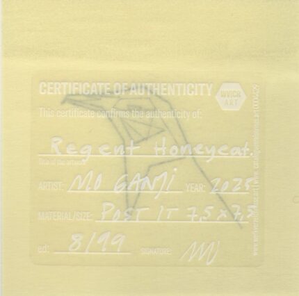 Mo Ganji - 179-Honeyeater-Back