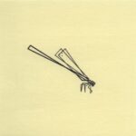 Mo Ganji - 183-Damselfly-Front