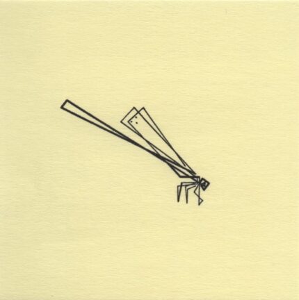 Mo Ganji - 183-Damselfly-Front