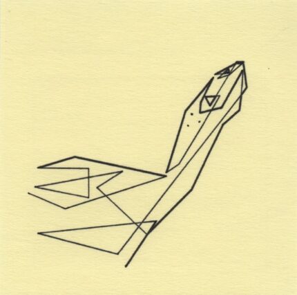 Mo Ganji - 186-Turtle-Front