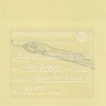 Mo Ganji - 188-Racer-Back