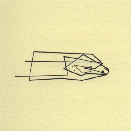 Mo Ganji - 189-Skink-Front