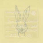 Mo Ganji - 190-Rabbit-Back